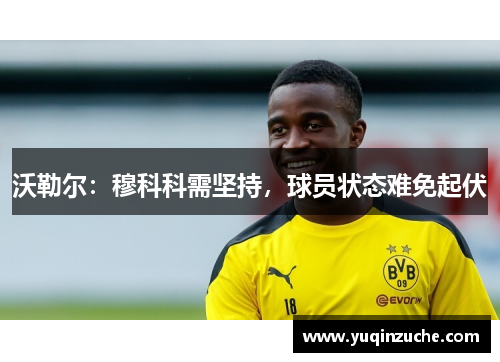 沃勒尔：穆科科需坚持，球员状态难免起伏