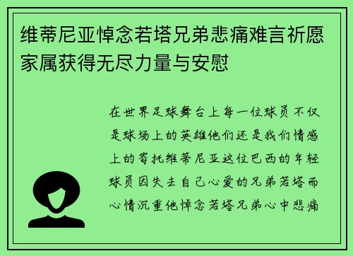维蒂尼亚悼念若塔兄弟悲痛难言祈愿家属获得无尽力量与安慰